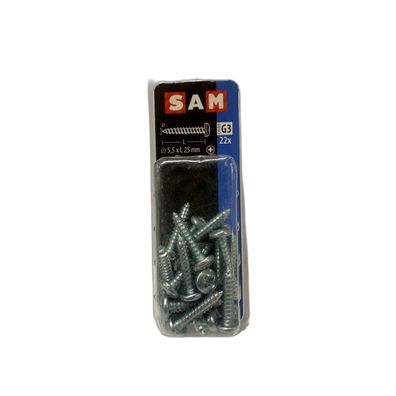 SAM/MACK Blechschraube Zylinderkopf 5,5 x 25 mm 22 Stück