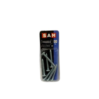 SAM/MACK Blechschraube Zylinderkopf 5,5 x 38 mm, 7 Stück