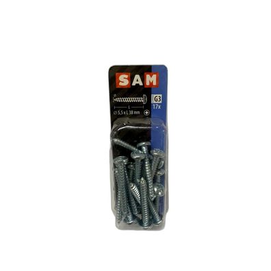 SAM/MACK Blechschraube Zylinderkopf 5,5 x 38 mm, 17 Stück