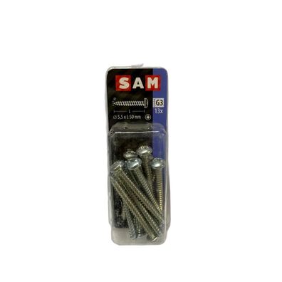 SAM/MACK Blechschraube Zylinderkopf 5,5x50mm 13 Stück