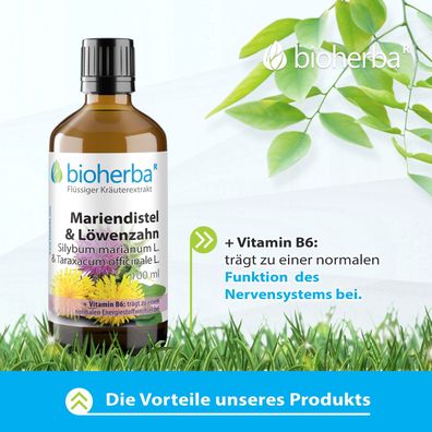 Bioherba Mariendistel & Löwenzahn Tropfen Tinktur