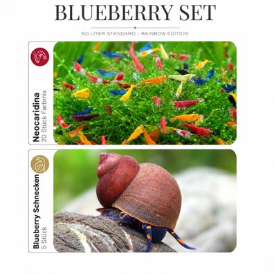 Blueberry Set – 50 Liter Rainbow - 20 × Neocaridina Mix - 5 × Blueberry Schnecken