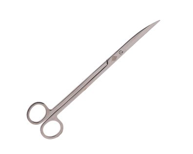 NatureHolic Scaping Scissors curved silver - 30cm silberne Pflanzenschere
