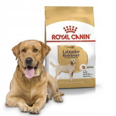 Royal Canin BHN Labrador Adult Trockenfutter für Hunde, 12 kg