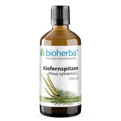 Bioherba Kiefernspitzen Pinus sylvestris L. Tropfen Tinktur