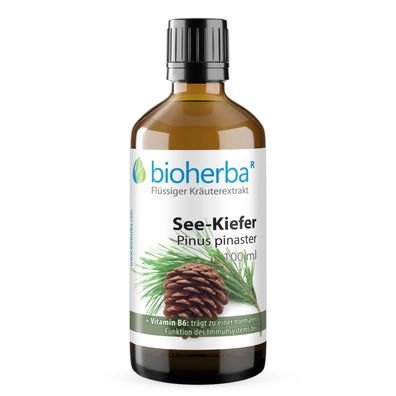 Bioherba See-Kiefer Pinus pinaster Tropfen Tinktur