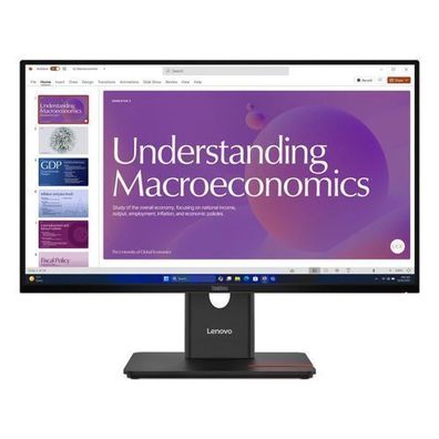 Lenovo ThinkVision T24D-40 23,8" FHDMI DP USB