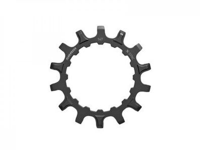 SRAM X-Sync Kettenblatt E-MTB 14T, Direct Mount, Stahl, fér Bosch Antriebe, schwarz