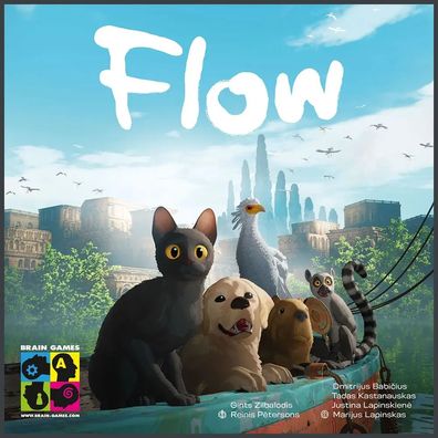 Flow