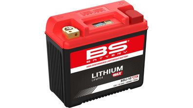BS-BATTERY LiFePO4 Batterie "BSLI-10" Ersetzt folg Lithium-MAX, w