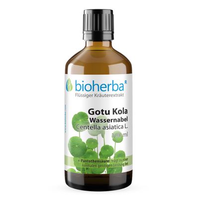 Bioherba Gotu Kola Wassernabel Centella asiatica L. Tropfen Tinktur