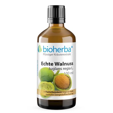 Bioherba Echte Walnuss Juglans regia L. Tropfen Tinktur