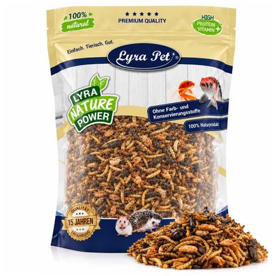 1 - 10 kg Lyra Pet® Protein Boost Insekten Mix - mit Mehlwürmern, Shrimps & Grashü