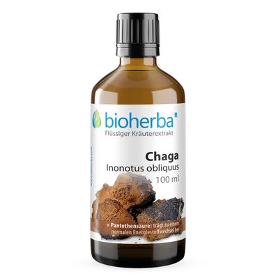 Bioherba Chaga Inonotus obliquus Tropfen Tinktur