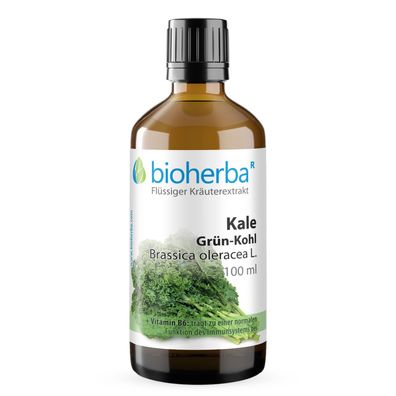 Bioherba Kale Grün-Kohl Brassica oleracea L. Tropfen Tinktur