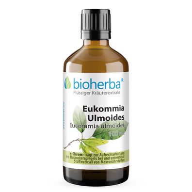 Bioherba Eukommia Ulmoides Tropfen Tinktur