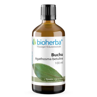 Bioherba Buchu Agathosma betulina Tropfen Tinktur