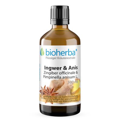 Bioherba Ingwer & Anis Tropfen Tinktur