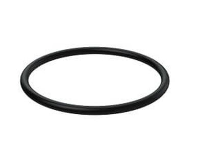 Dichtung Yanmar Impellar X02173476 O-Ring