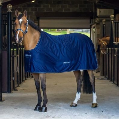 Bucas Power Cooler - navy/silver