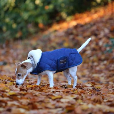 Kentucky Dogwear Hundedecke Dog coat 160g - Navy