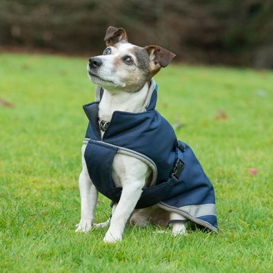Bucas Freedom Dog Rug 50g - Navy/Silver