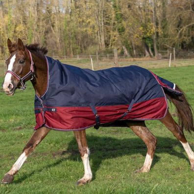 Equithème Tyrex 1200D High Neck 150g - marineblau/bordeaux
