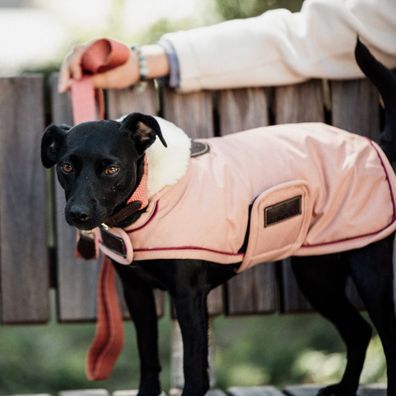 Kentucky Dogwear Hundemantel Waterproof 160g - Koralle
