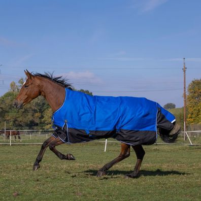 Equithème Tyrex 1200D Aisance High Neck 300g - blau/schwarz