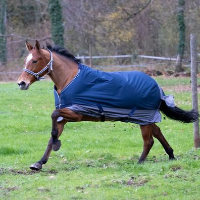 Equithème Tyrex 600D Aisance 50g - marineblau/grau