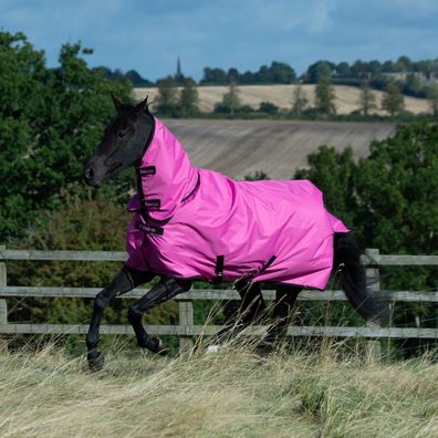 Bucas Freedom Turnout Light Full Neck 0g