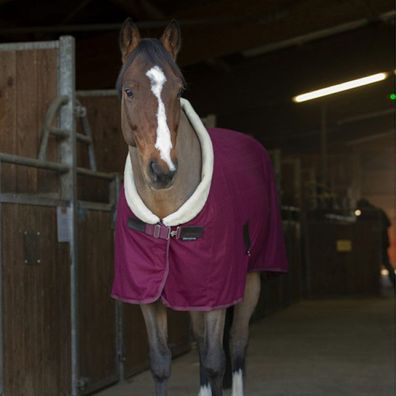 Equithème Teddy Abschwitzdecke