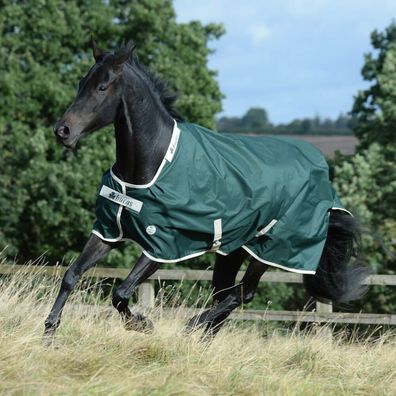 Bucas Green-Line Turnout 300g