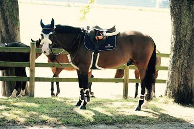 Kentucky Horsewear Martingal / Vorderzeugschoner Fellimitat
