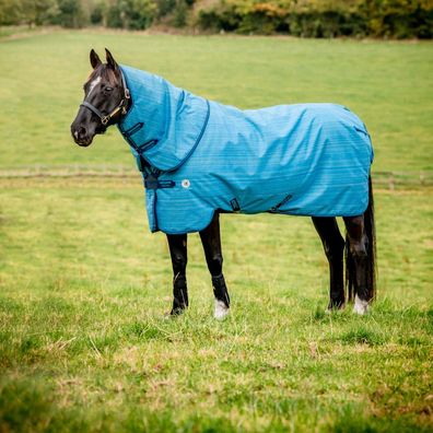 Horseware Amigo 900D Revive Plus Turnout 200g