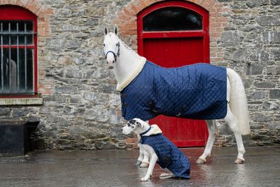 Kentucky Horsewear Tiny Show Rug Turnierdecke Pony mit künstlichem Kaninchenfell