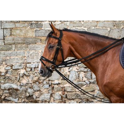 Dyon D-Collection Voll-Leder Schlaufzügel 13mm
