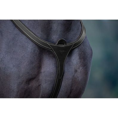 Dyon D-Collection Vorderzeug "Long Bridge"