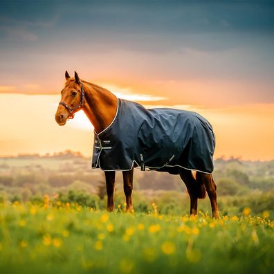 Horseware Amigo Ripstop 900D Pony Turnout 100g