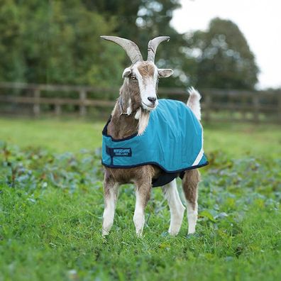 Horseware Goat Coat 100g - Ziegendecke
