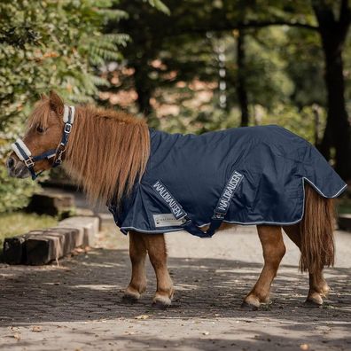 Waldhausen Shetty Regendecke 100g