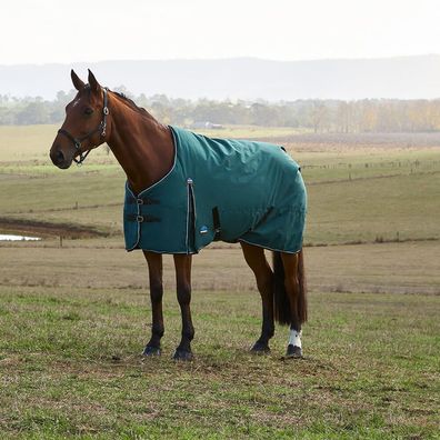 Weatherbeeta Comfitec Classic Turnout 220g