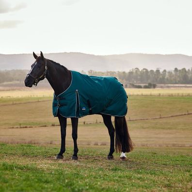 Weatherbeeta Comfitec Classic Turnout 50g