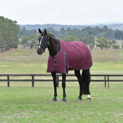 Weatherbeeta Comfitec Essential Turnout 220g