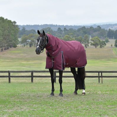 Weatherbeeta Comfitec Essential Turnout Detach-A-Neck 220g