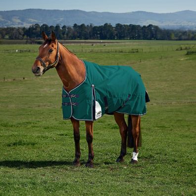 Weatherbeeta Comfitec Plus Dynamic Turnout 100g