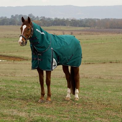 Weatherbeeta Comfitec Plus Dynamic Turnout Detach-A-Neck 100g