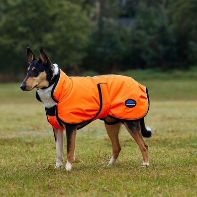 Weatherbeeta Comfitec Reflective 300D Deluxe Showerproof Dog Coat