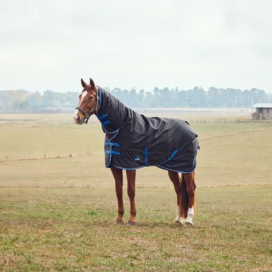 Weatherbeeta Comfitec Tyro Turnout Combo Neck 220g