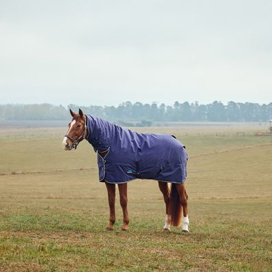 Weatherbeeta Comfitec Tyro Turnout Combo Neck 50g